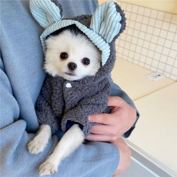 狗狗衣服秋冬装加厚保暖泰迪比熊博美小型犬猫咪棉衣冬季宠物服饰图片