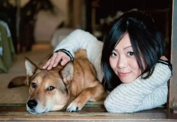 摄影技巧：如何拍出一张好看的宠物图片？赶快收藏！
