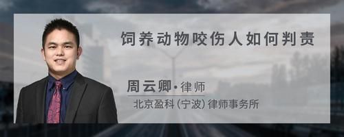 饲养动物咬伤人如何判责？