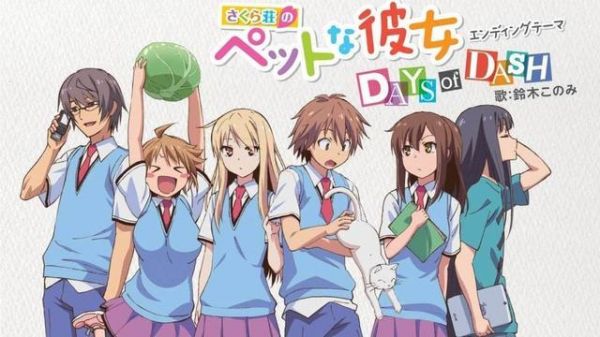 宠物行业内容创作者深耕领域佳作
