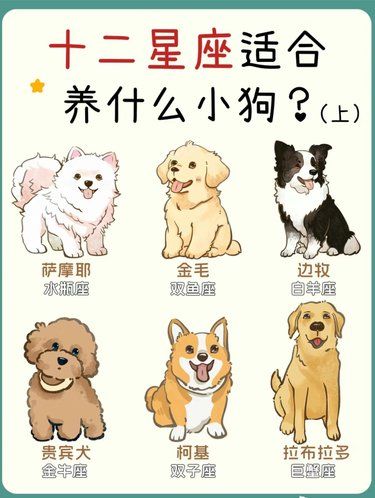 十二星座的命定小狗你家是什么狗狗?