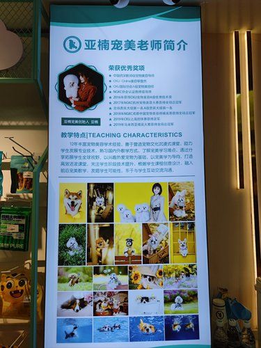 太原这家店是真的NB