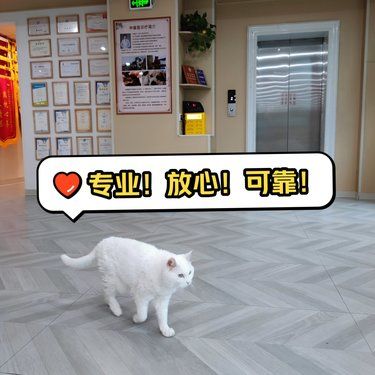 这应该是太原最厉害的宠物医院了吧？！