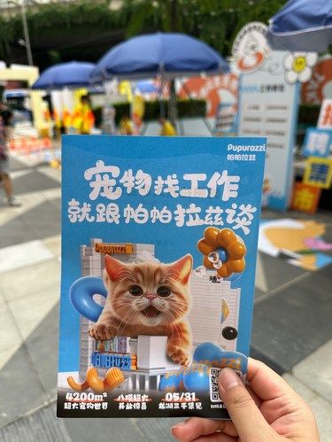 成都果然很超前，宠物也可以打工挣狗粮了[得意]