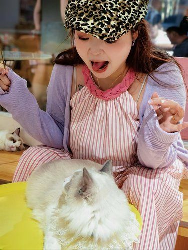 去猫咖可以怎么出片