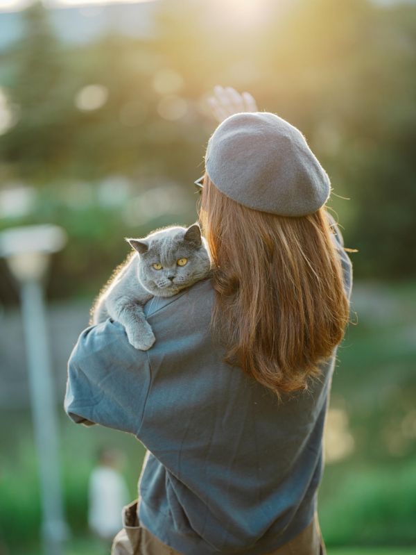 分享一组宠物猫咪主题的人像摄影作品。分享一组猫咪动物主题的人像摄影作品 发现拍宠物猫真的很省心 基本大多数角度构图色彩逻辑都能适用 也很能出片 而且作为人像摄影的主角或者配角都很和谐 更别提后期基本不怎么需要处理 这种主人与宠物的主题拍出来的效果也非常不错 #宠物摄影 #我的摄影日记 #约拍找我#猫咪 #我镜头下的小猫