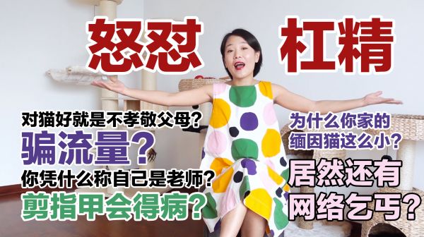 养猫后遇到的杠精！对猫好就是不孝顺父母？今天我要反击了！