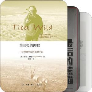 我这段时间看的书