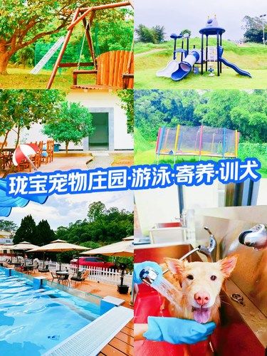 珑宝宠物庄园，宠宝们的快乐天堂
