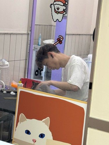 王安全在给猫美容[疑问]