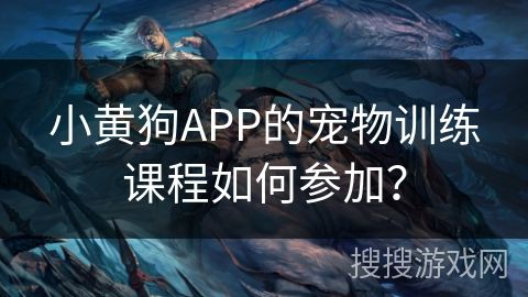 小黄狗APP的宠物训练课程如何参加？