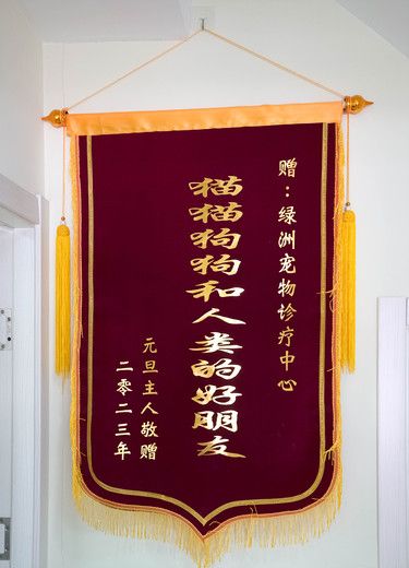 绿洲宠物医院——宠物健康的守护者