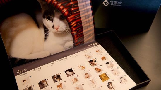 实物图2-挂历