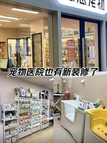 派总宠物·龙茗路上的宠物护理天堂