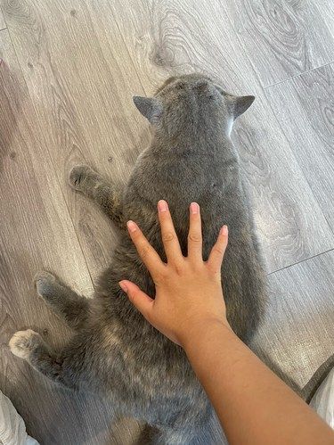 嘉定新城这家咪咪超乖、超好撸￼
