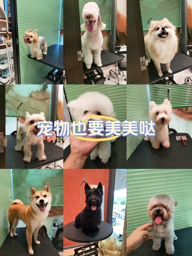 嗨嗨嗨嗨嗨嗨嗨嗨嗨嗨嗨嗨嗨嗨