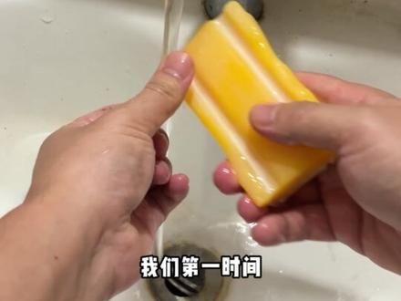 不小心被狗狗咬出血了该怎么办?就用这个狂犬病检测卡给它测一下#萌宠好物 #新手养狗 #养狗经验分享#狂犬病
