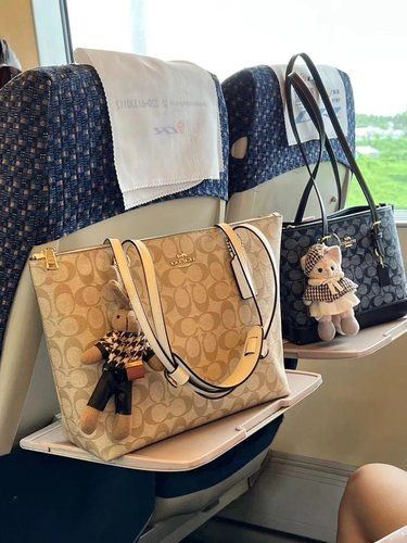 坐高铁背假包遇到真包……