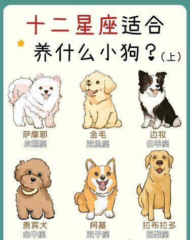 十二星座的命定小狗✅你家是什么狗狗？ 