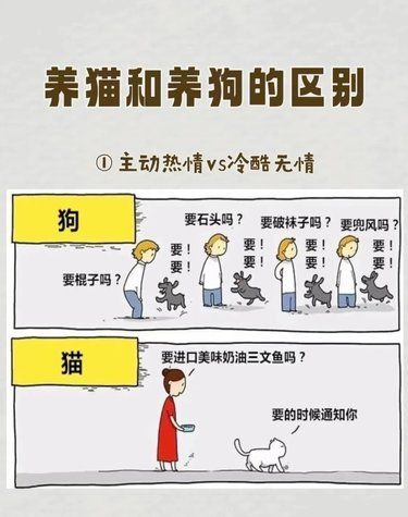 养猫和养狗的区别，简直太真实了！！