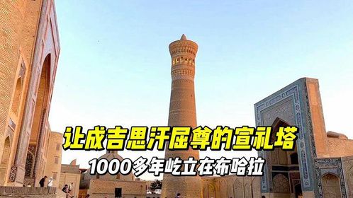 成吉思汗唯一屈尊进入的城市，实拍2500年的古城布哈拉！
