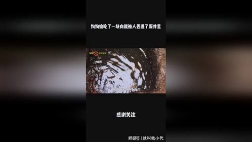 狗狗偷吃了一块肉就被人丢进了深井里