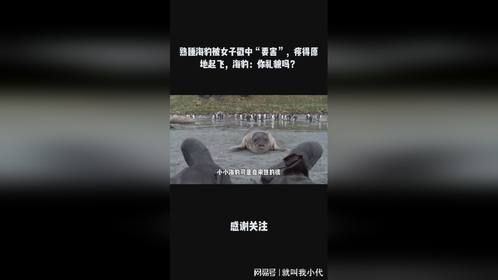 熟睡海豹被女子戳中“要害”，疼得原地起飞，海豹：你礼貌吗？