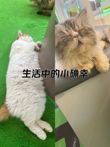 真的会被他们笑死