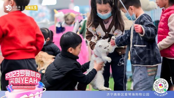 互动式智能宠物游戏：寓教于乐，满足宠物爱好者全方位娱乐需求