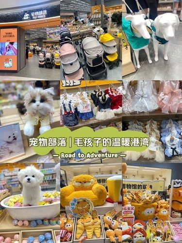 宠物潮流生活方式集合店，毛孩子的温暖港湾