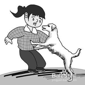 宠物与宝宝保持距离