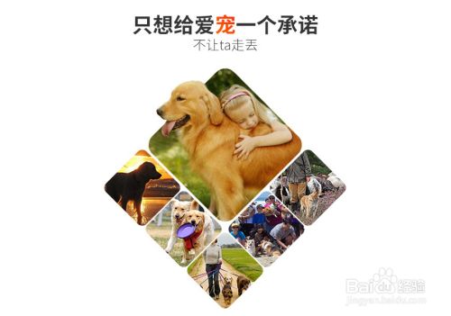 智能宠物防丢器方案