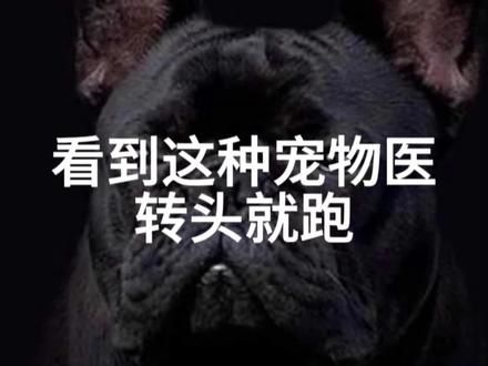 看到这种宠物医院,转头就跑 #vlog日常 #狗狗 #猫咪 #萌宠 #宠物
