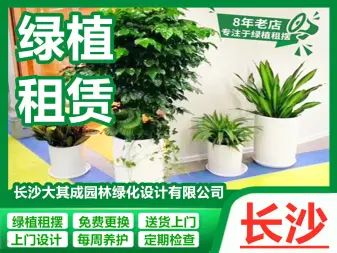 店主头像
