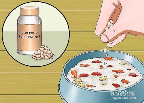 当狗过敏时怎么调节饮食