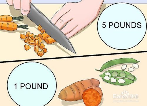 当狗过敏时怎么调节饮食