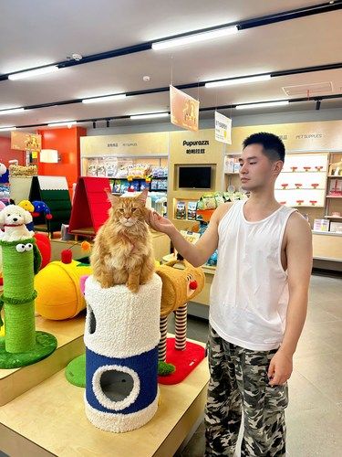 全亚洲zui大的宠物店￼周年庆活动来啦！