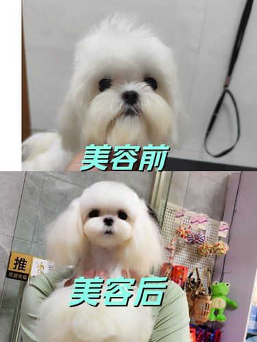 指定这家精修