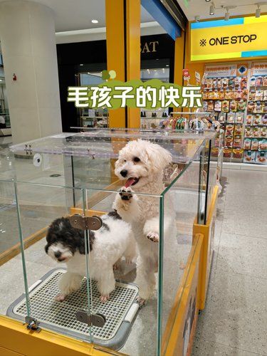 这家店以后真的不能来.......
