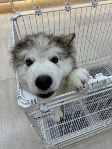 不敢相信，迷失在…
