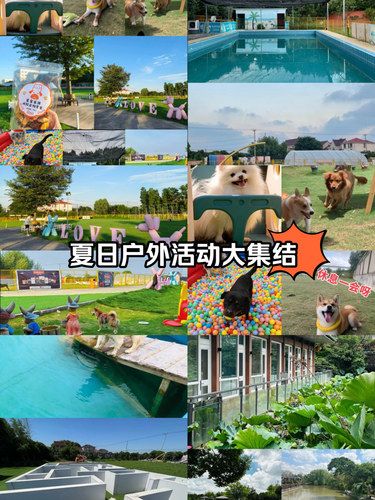 狗子们也有自己的专属乐园，主人可以安心出游啦