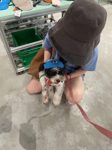 宠物店欢乐多