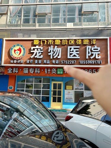 厦门宠物医院，感恩盆友推