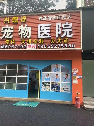 公犬绝育注意事项