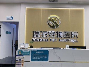 宠物体检