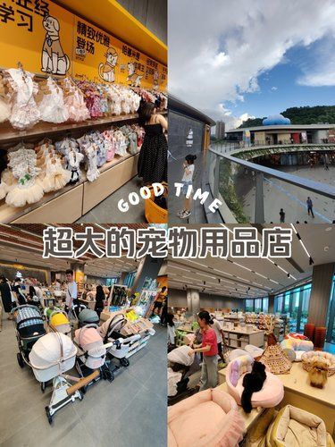 太好逛了！这里简直是“养宠人”的天堂啊