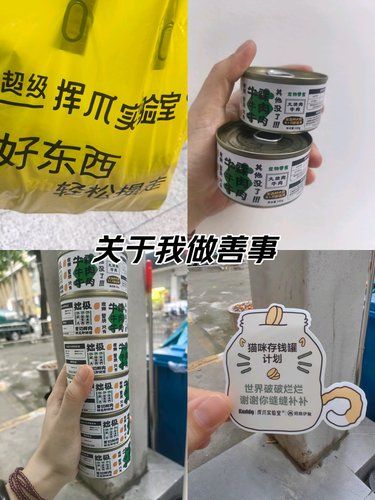 关于我做善事这一件事情