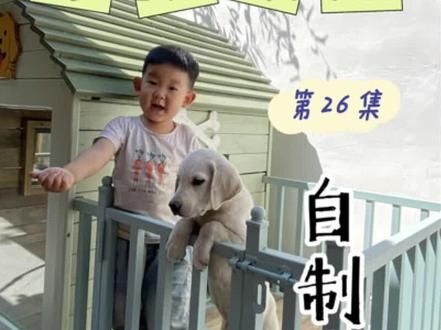 老公耗时四天在小院给狗狗做了一个狗窝,虽然算不上大别墅,也算是精品小院了,比狗子还开心的儿子想和狗狗一起住进去,哈哈#狗窝改造 #狗窝自制 #能装人的狗窝
