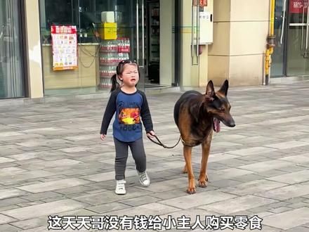 一只会带娃的小狗,温柔程度更是直接碾压男朋友! #萌宠出道计划 #狗狗 #神奇动物在抖音