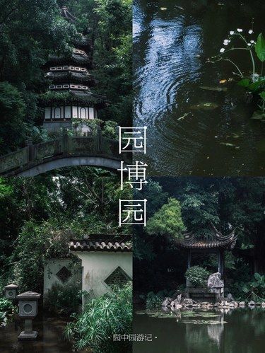 深圳拍照 | 寻一处幽谧江南